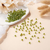 Picasso Baking Paint Glass Seed Beads SEED-TA0001-62E-4