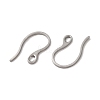 Tarnish Resistant 304 Stainless Steel Earring Hooks STAS-E192-11P-2