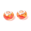 Resin European Beads RESI-WH0014-34-2