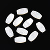 Natural White Shell Cabochons BSHE-T014-18-1