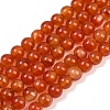 Natural Red Agate Beads Strands G-B171-B03-6mm-2