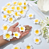 30Pcs 3 Styles Foam Artificial Frangipani Flower Aligator Hair Clips PHAR-SP0001-23A-3