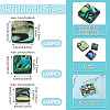 30Pcs 3 Styles Natural Paua Shell Beads BSHE-TA0001-37-4