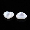 Natural White Shell Beads SSHEL-N032-53-3