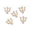 304 Stainless Steel Charms LS-STAS-K215-11G-1