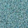 MIYUKI Round Rocailles Beads X-SEED-G007-RR0263-4