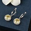 925 Sterling Silver Micro Pave Cubic Zirconia Hoop Earrings EJEW-B147-01A-04-2