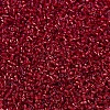 MIYUKI Delica Beads SEED-X0054-DB0602-3