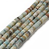 Natural Amazonite Heishi Beads Strands G-I326-08-1