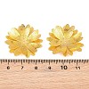 Brass Filigree Cabochons KK-CBACEE9-02B-G-3