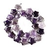Natural Amethyst Quartz Beads Strands G-NH0005-030-3