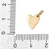 304 Stainless Steel Charms STAS-L291-01G-O-3