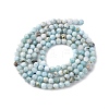 Natural Larimar Beads Strands G-F785-B01-01-3