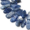 Natural Kyanite Beads Strands G-L649-A01-01-4