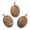 Electroplate Natural Picture Jasper Pendants KK-F882-06G-02-1