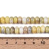 Glass Beads Strands GLAA-N059-5x8mm-33-4