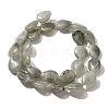 Natural Labradorite Beads Strands G-P561-B05-01-3