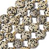Natural Dalmatian Jasper Beads Strands G-A292-A06-01-3