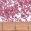 MIYUKI Delica Beads SEED-J020-DB0362-4