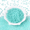FGB Frosted Transparent Glass Seed Beads SEED-N013-06A-10-2