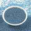 MIYUKI Round Rocailles Beads X-SEED-G009-RR0326-4