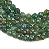 Natural Fuchsite Beads Strands G-RM250101-C33-5