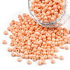 8/0 Baking Paint Glass Seed Beads SEED-R051-07B-06-1