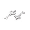 Brass Micro Pave Clear Cubic Zirconia Pendants KK-S356-629-NF-2