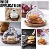 Clear Glass Dessert/Cake Cloche Dome Display Cases ODIS-WH0029-30-8