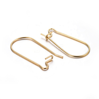 304 Stainless Steel Hoop Earring Findings STAS-P223-01G-05-1