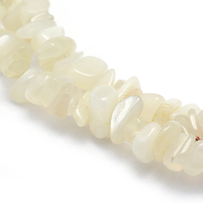 Natural White Moonstone Beads Strands G-P332-01-1