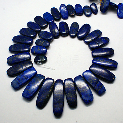 Natural Gemstone Pendants Lapis Lazuli Graduated Beads Strands G-F129-B-02-1