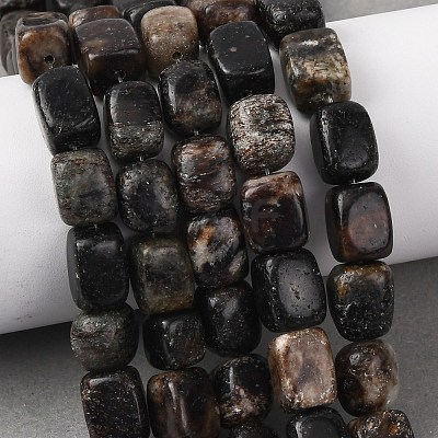 Natural Biotite Beads Strands G-D098-D15-1