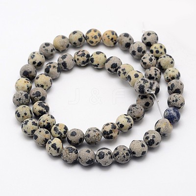 Natural Dalmatian Jasper Beads Strands G-D685-6mm-1