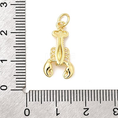 Brass Pendants KK-I364-06G-04-1