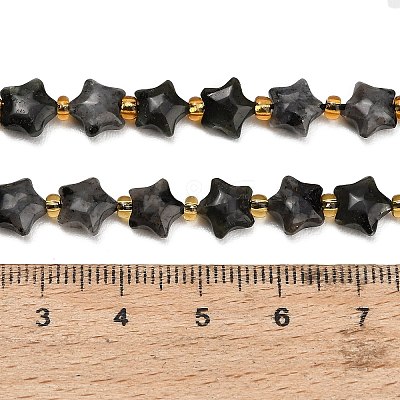 Natural Larvikite Beads Strands G-Z080-A29-8mm-1