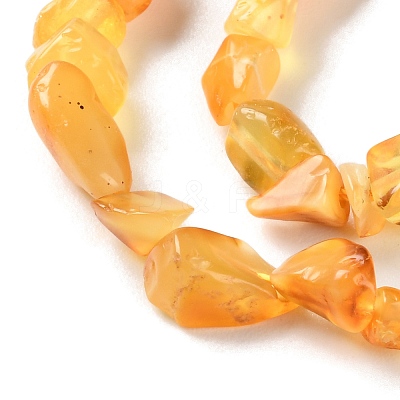 Natural Amber Beads Strands G-P497-01C-04-1