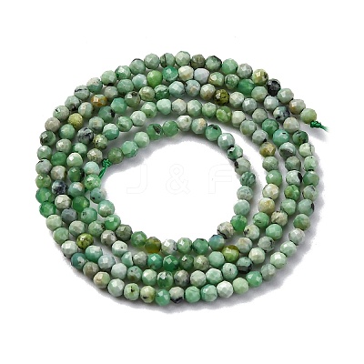 Natural Variscite Beads Strands G-G188-B05-03-1