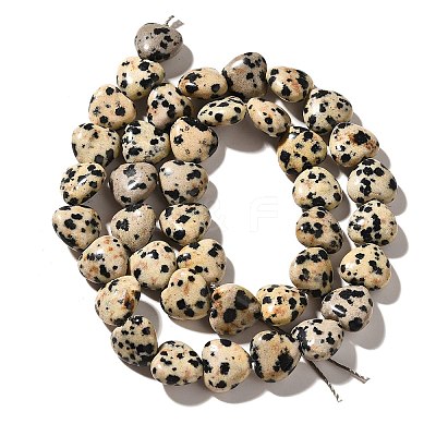 Natural Dalmatian Jasper Beads Strands G-R190-10mm-63-1