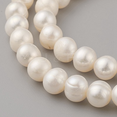Natural Cultured Freshwater Pearl Beads Strands PEAR-G007-18-1