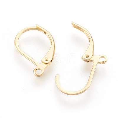 304 Stainless Steel Leverback Earrings Findings X-STAS-F188-10G-1