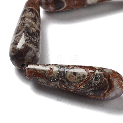 Natural Wealth Stone Jasper Beads Strands G-P528-H13-01-1