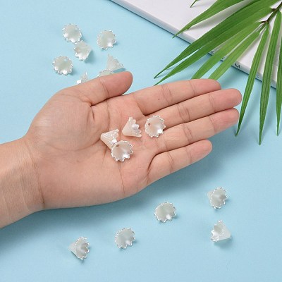 Multi-Petal Flower ABS Plastic Imitation Pearl Bead Caps OACR-R016-25-1