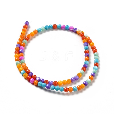 Dyed Natural Freshwater Shell Beads Strands X-SHEL-G014-05C-04-1