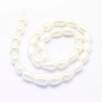 Shell Pearl Beads Strands BSHE-P024-02-1