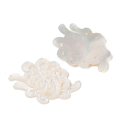 Natural White Shell Carved Cabochons SSHEL-C012-24C-1