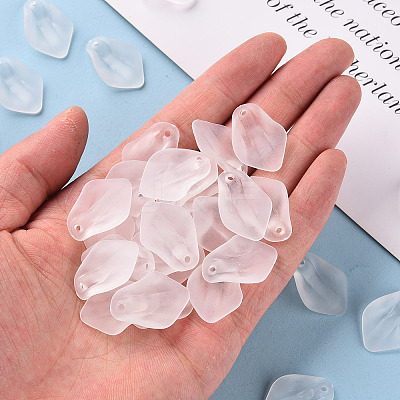 Transparent Frosted Acrylic Pendants MACR-S371-03A-701-1