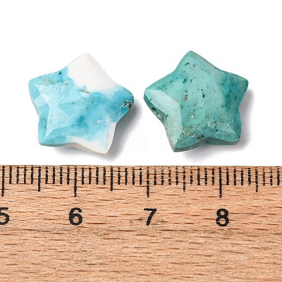 Natural Howlite Charms G-H241-04E-1