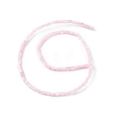 Natural Freshwater Shell Dyed Beads Strands X-SHEL-M018-12-09-1
