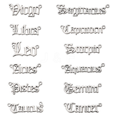 24Pcs 2 Sets Zinc Alloy Jewelry Pendant Accessories FIND-FW0001-09P-1